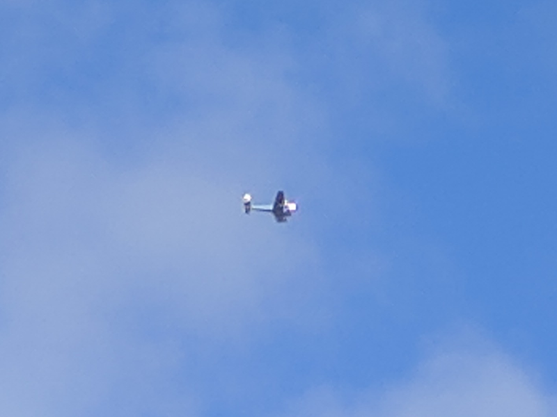 Illustration for article titled Planespotting and worst photos ever of: Lockheed Electra!